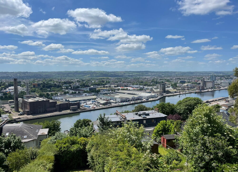 2 Clifton Villas, Montenotte 2