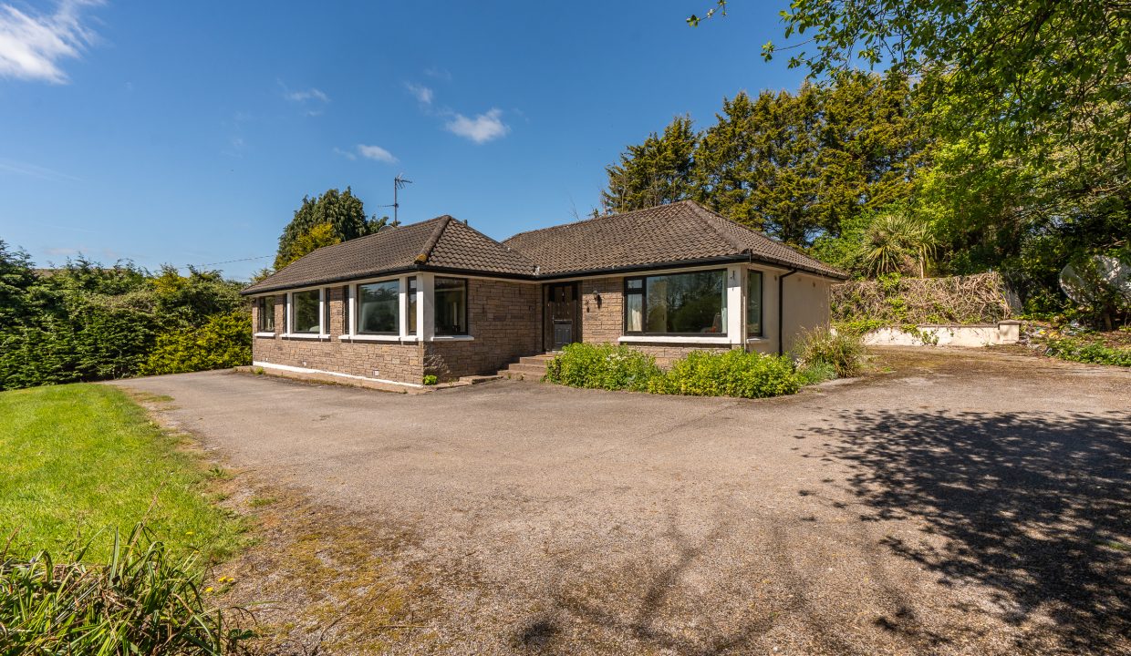 Hazelwood, Ballyvolane - exterior-17