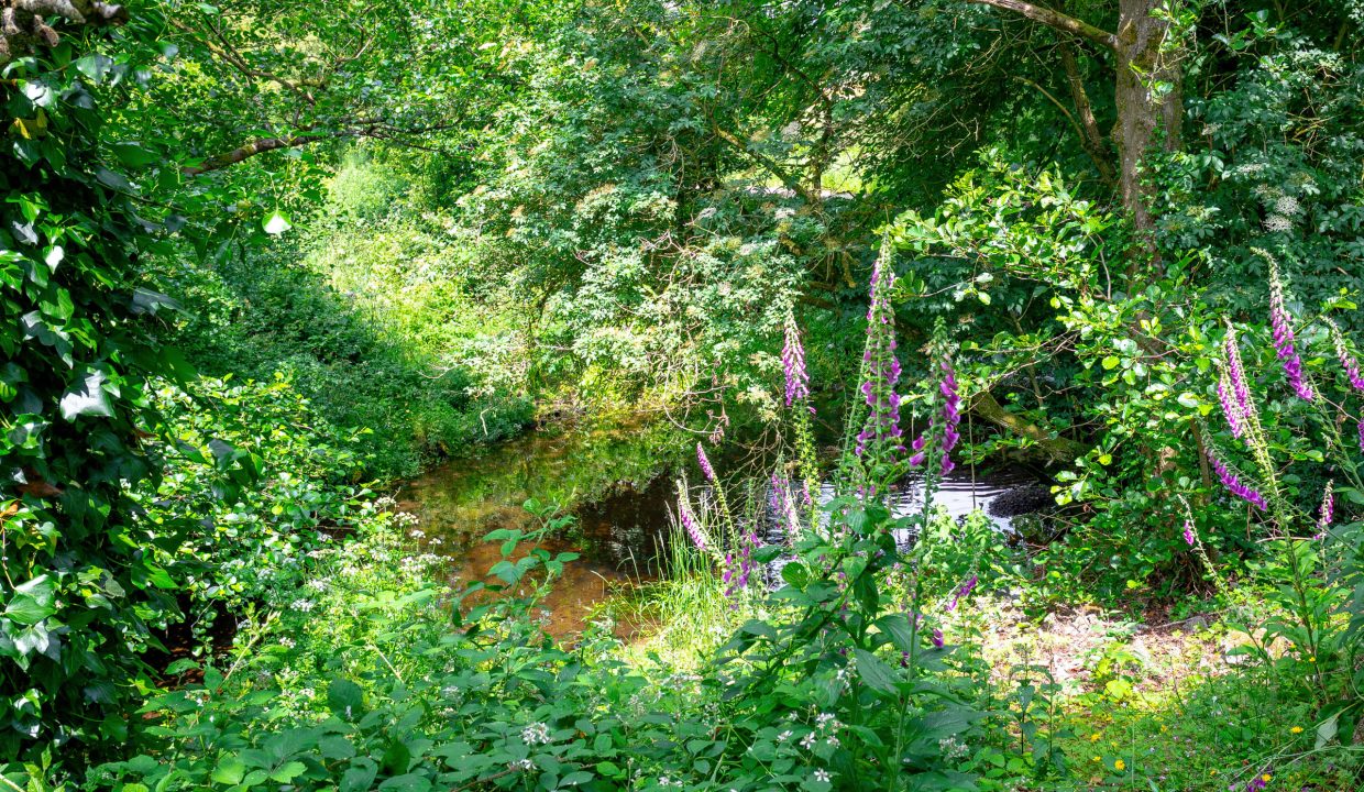 06.20 Ballygrogan, Grenagh, Co. Cork - ERA - H-Pix WEB 19