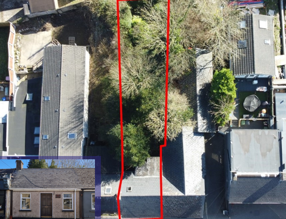 2 Douglas West Collage