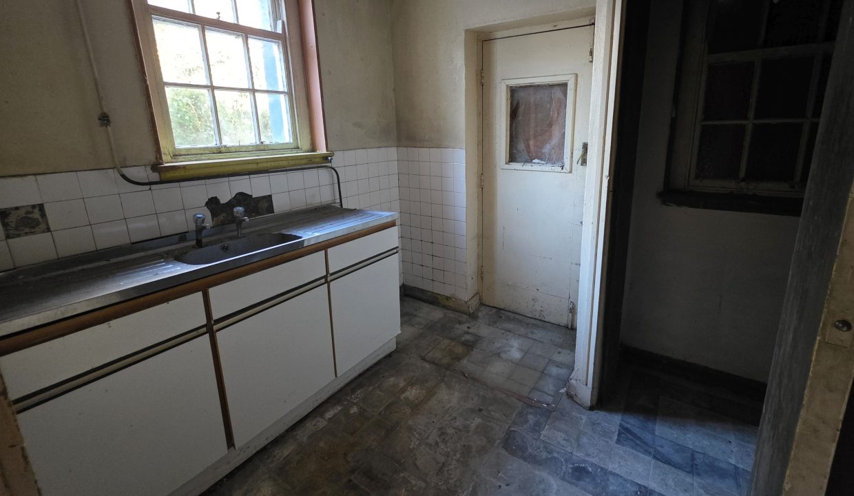 20260105_102927 cropped