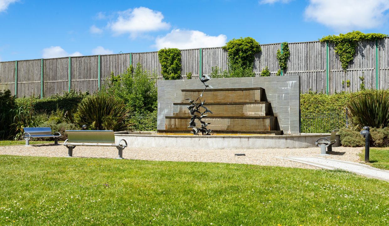 Photo: Niamh Whitty/www.pictureitsold.ie