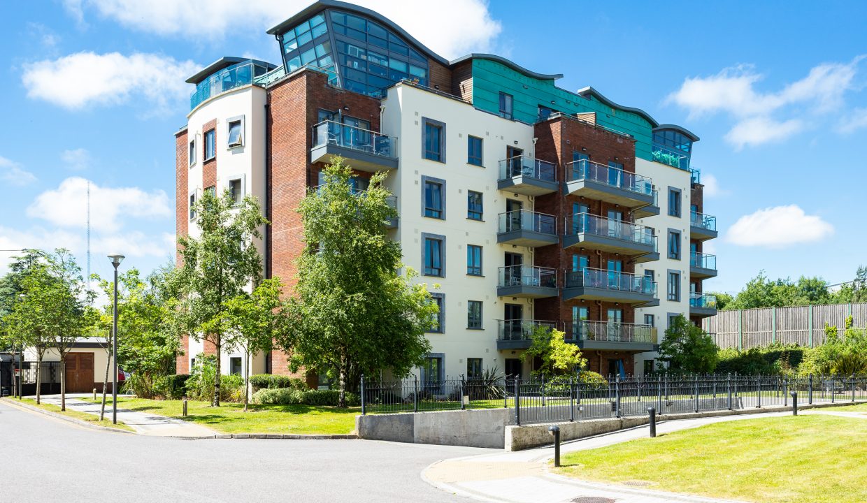 Photo: Niamh Whitty/www.pictureitsold.ie