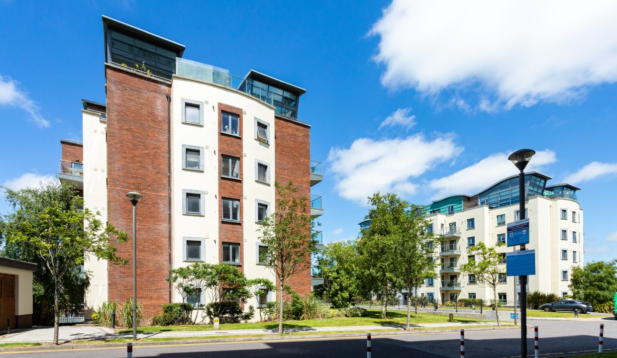 Photo: Niamh Whitty/www.pictureitsold.ie