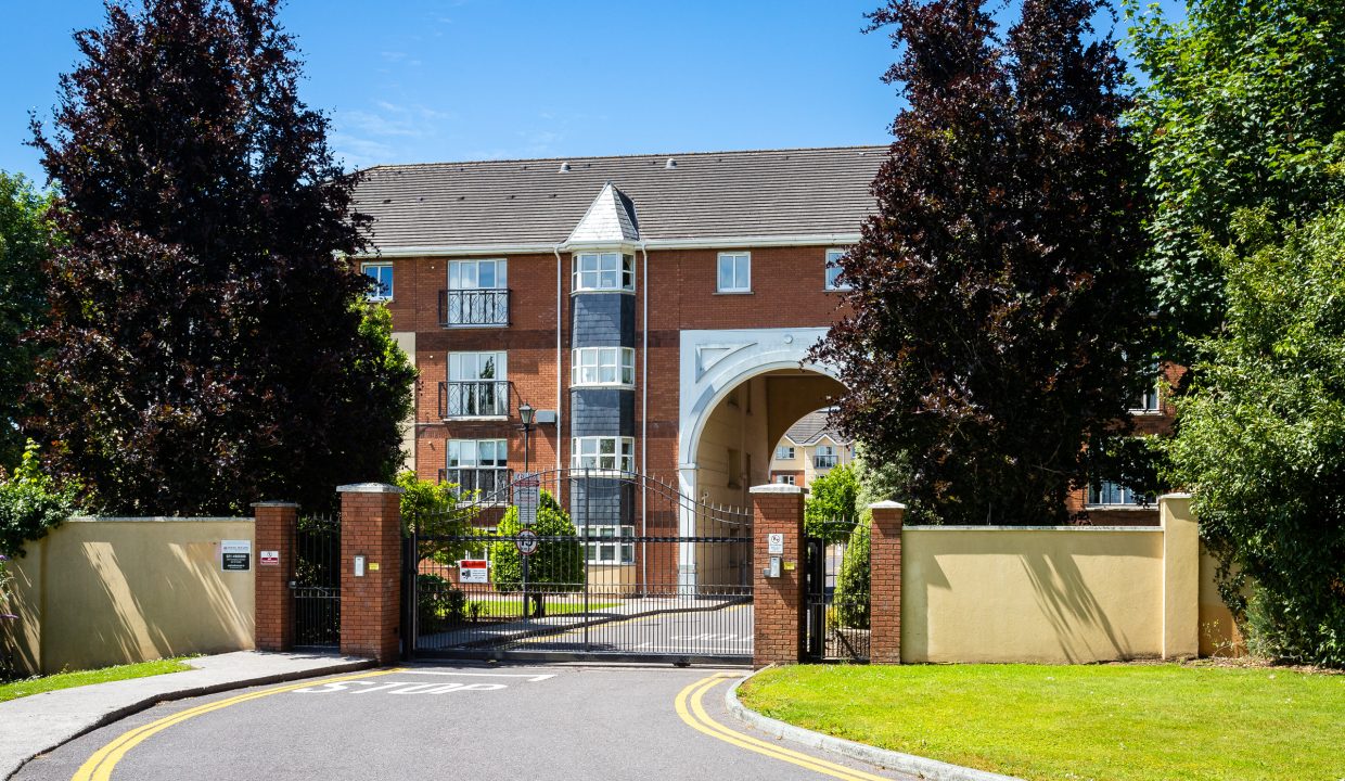 Photo: Niamh Whitty/www.pictureitsold.ie