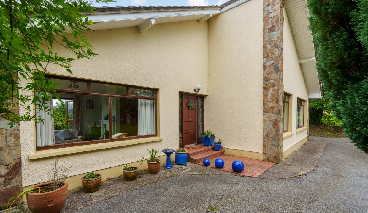 Meadowloands, Upper Rochestown - exterior-11